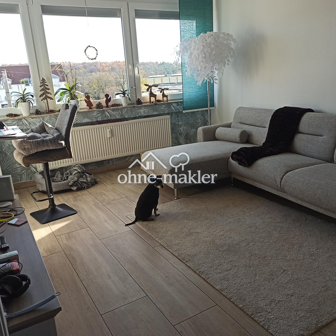 Bild 9