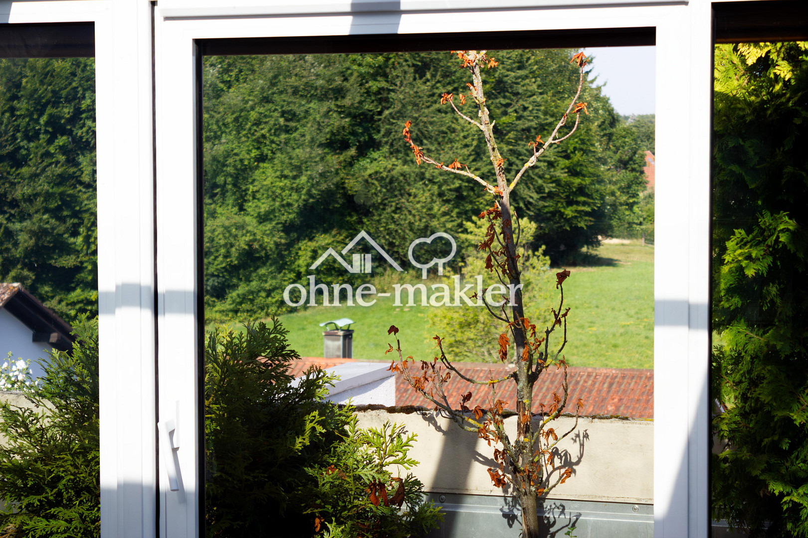 Bild 15