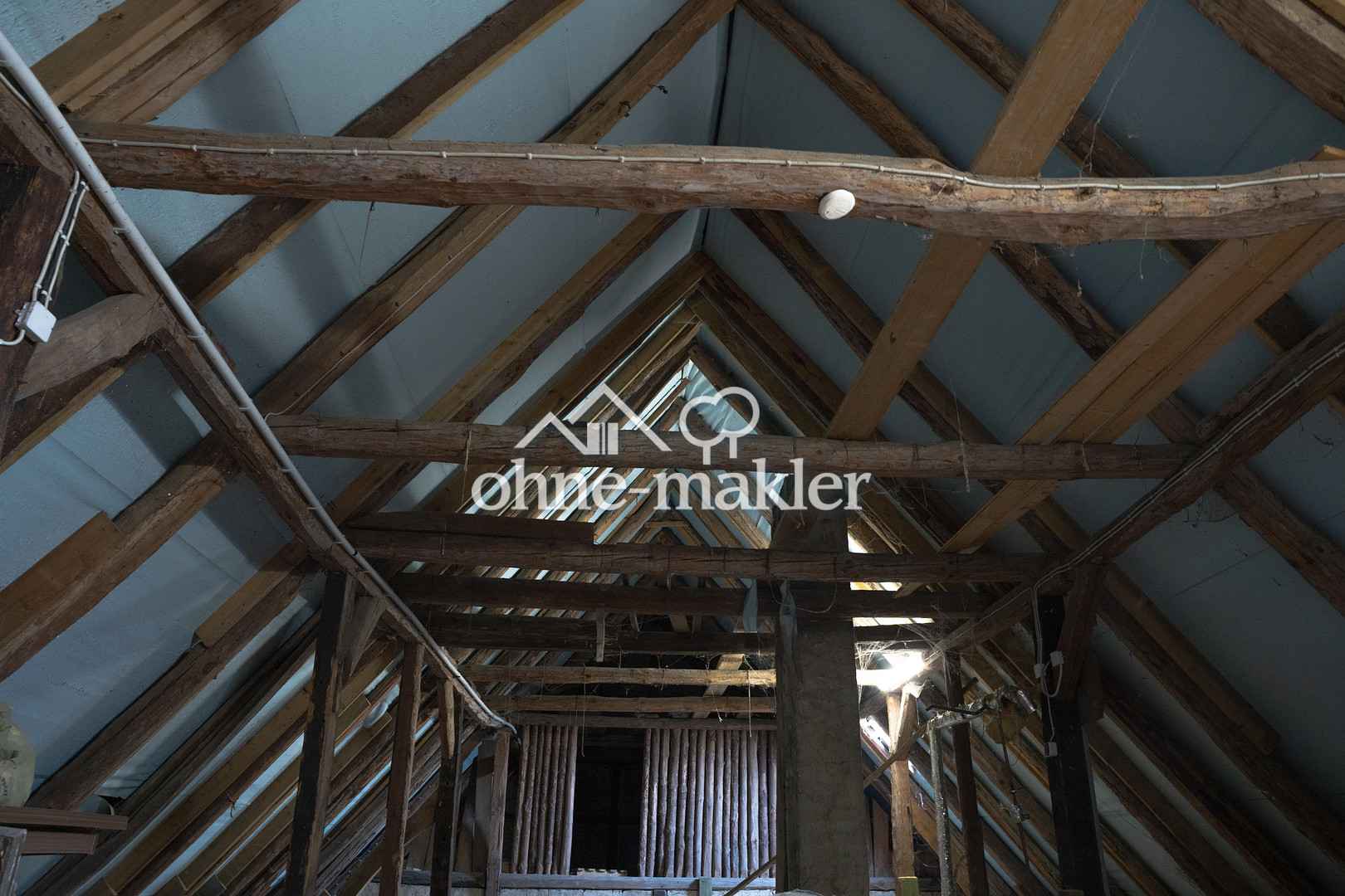Bild 19
