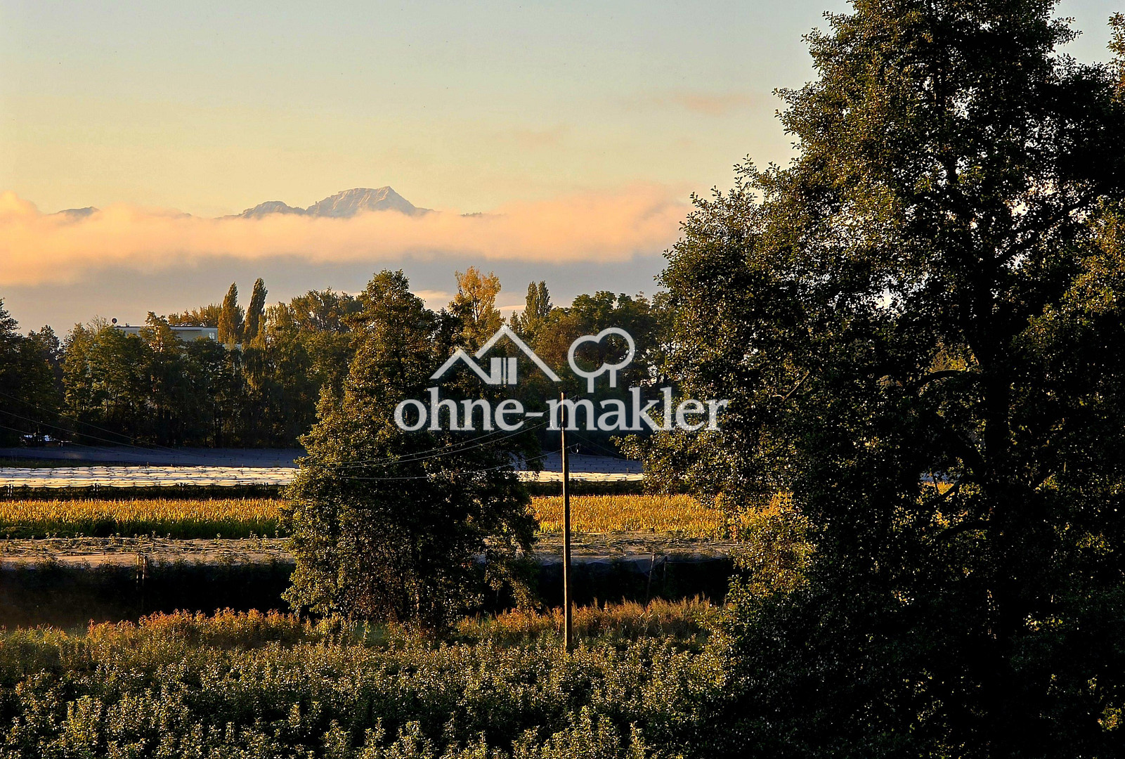 Bild 24