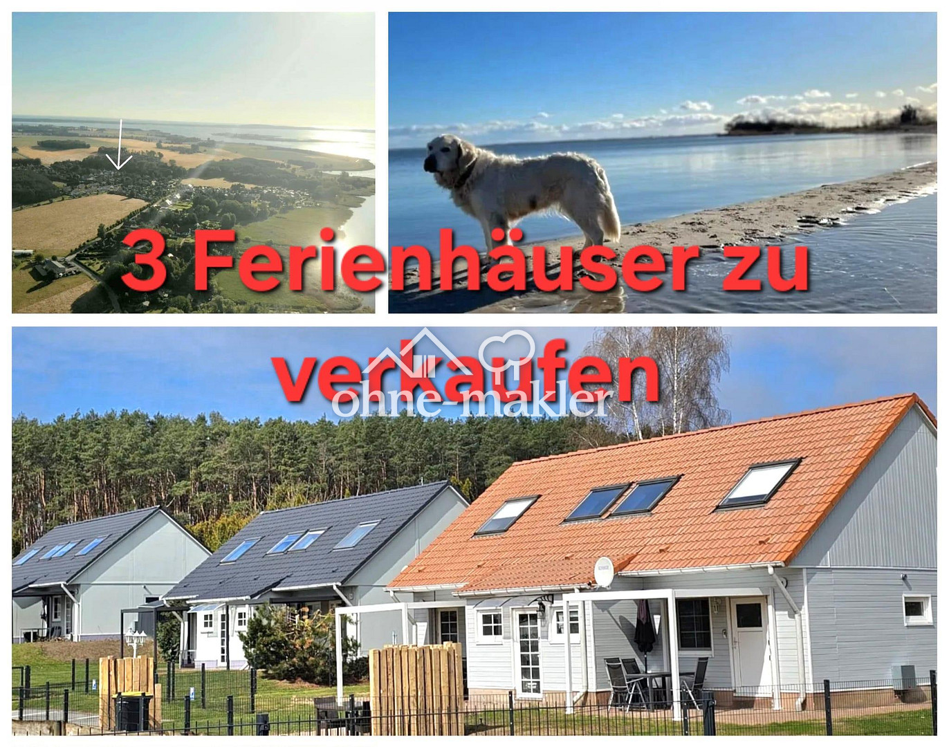 Bild 17
