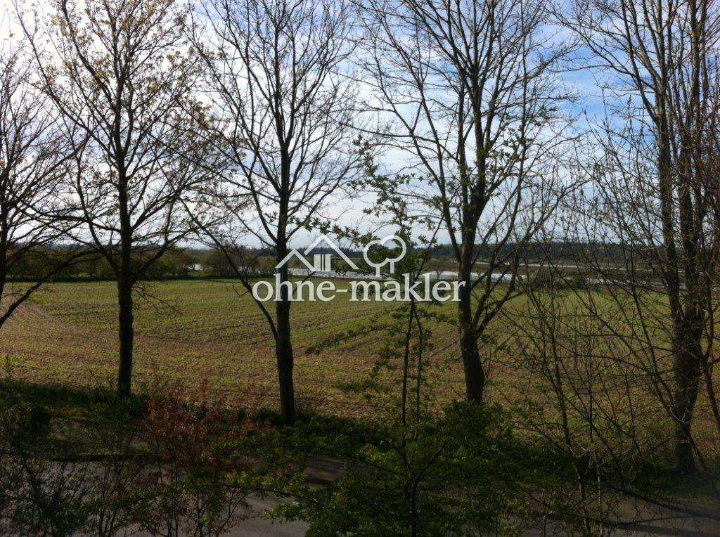 Bild 17