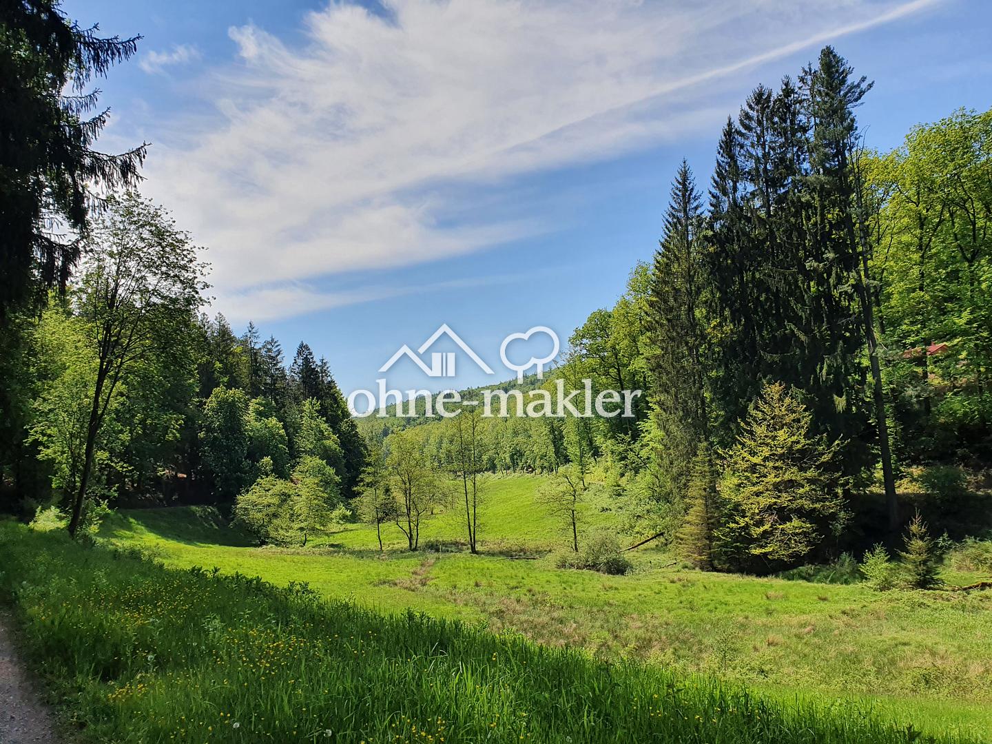 Bild 19