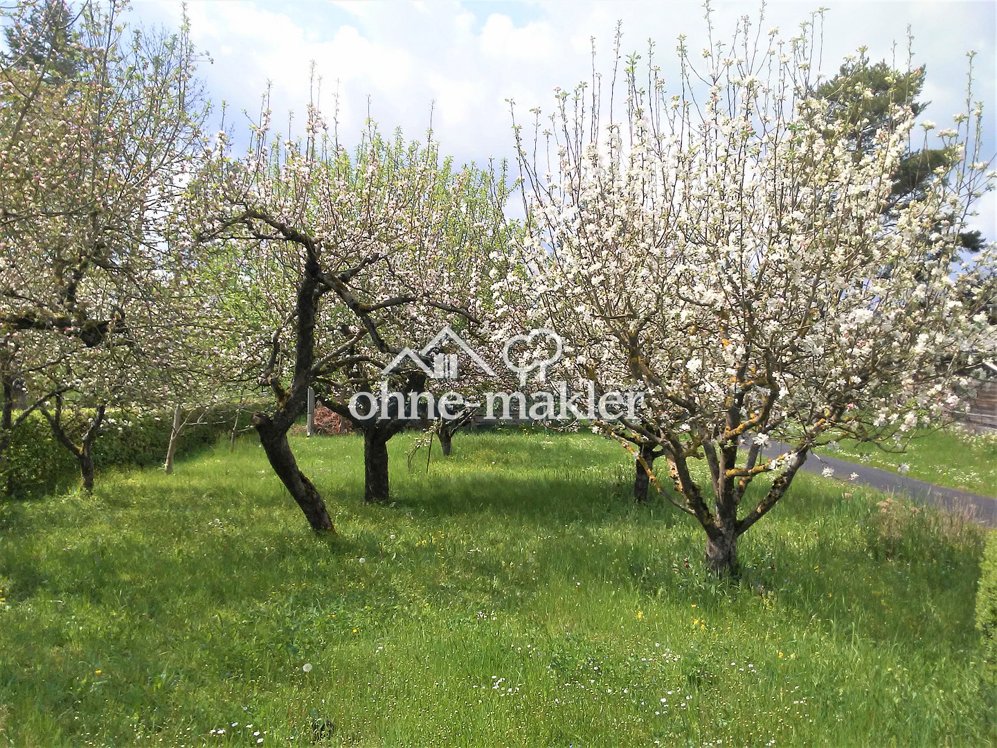 Bild 14