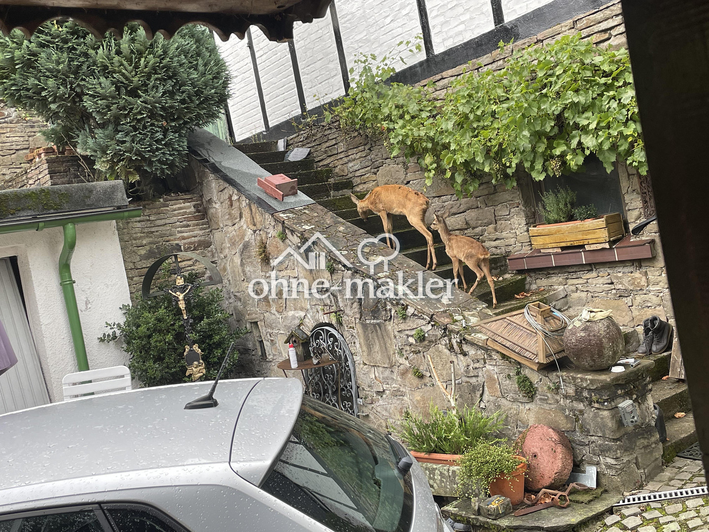Bild 19