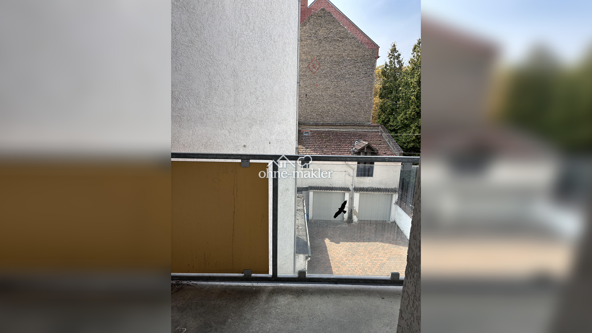 Bild 12