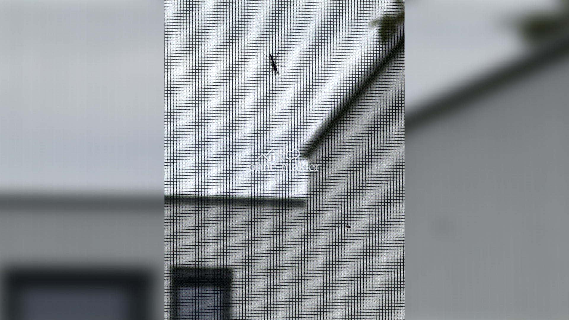 Bild 22