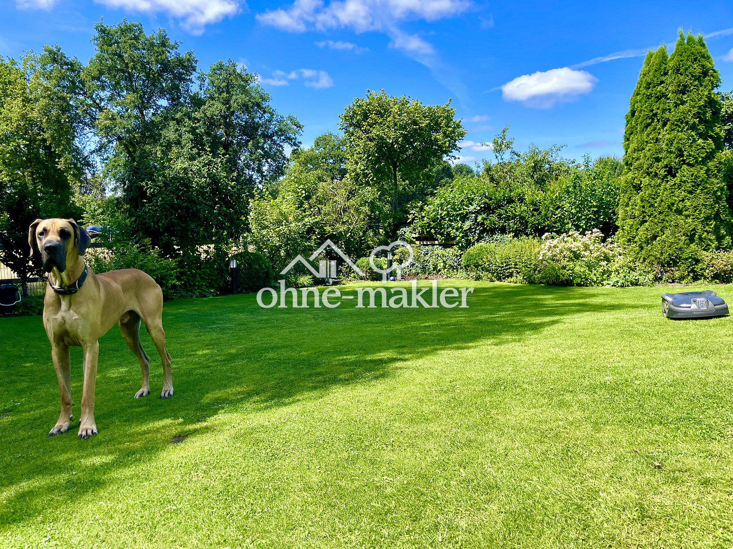Bild 12