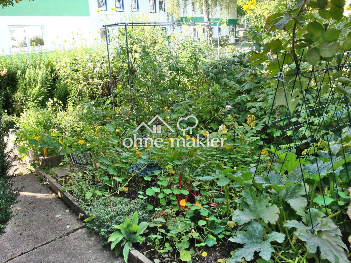 Bild 21