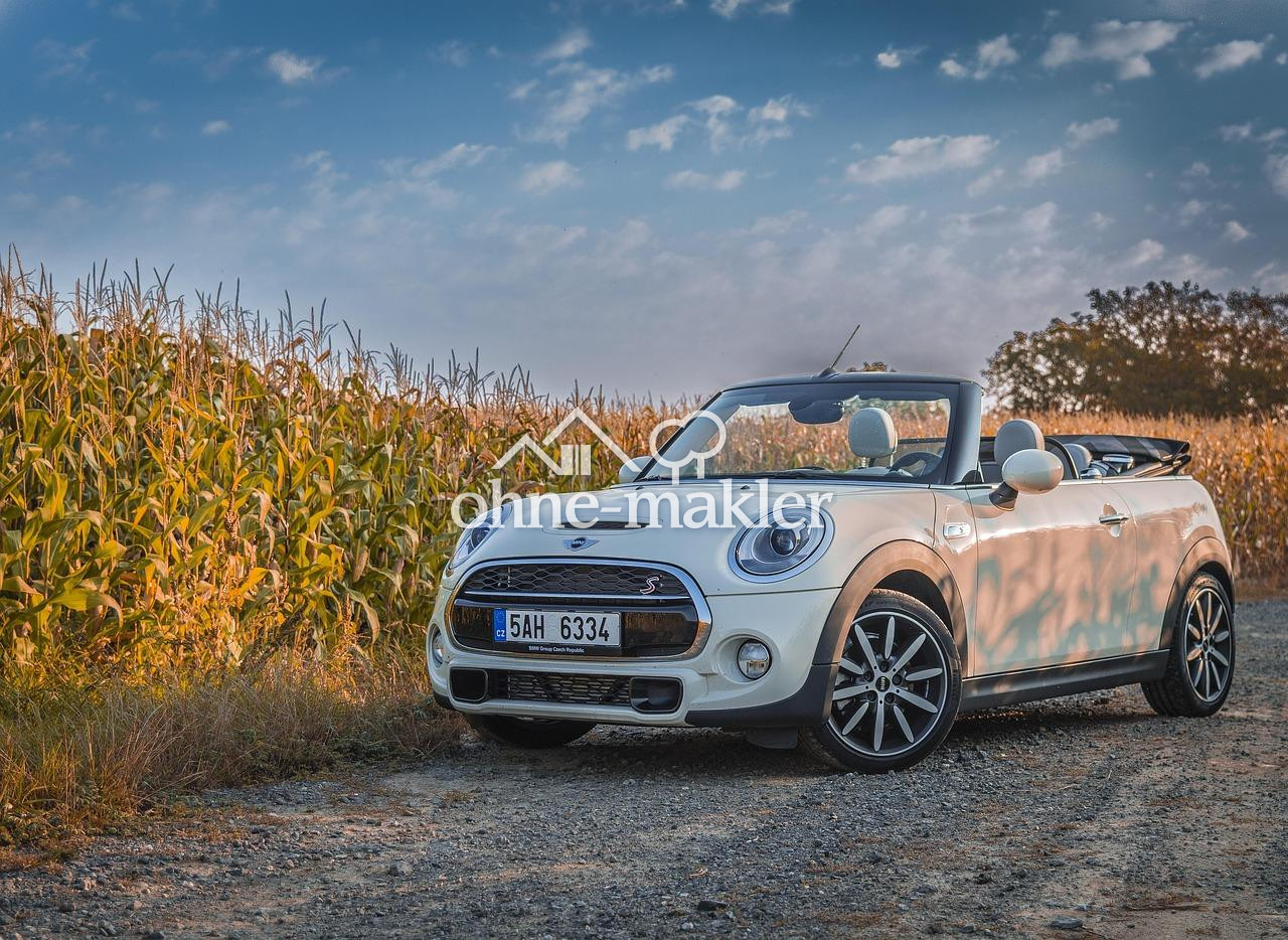 Bild 19