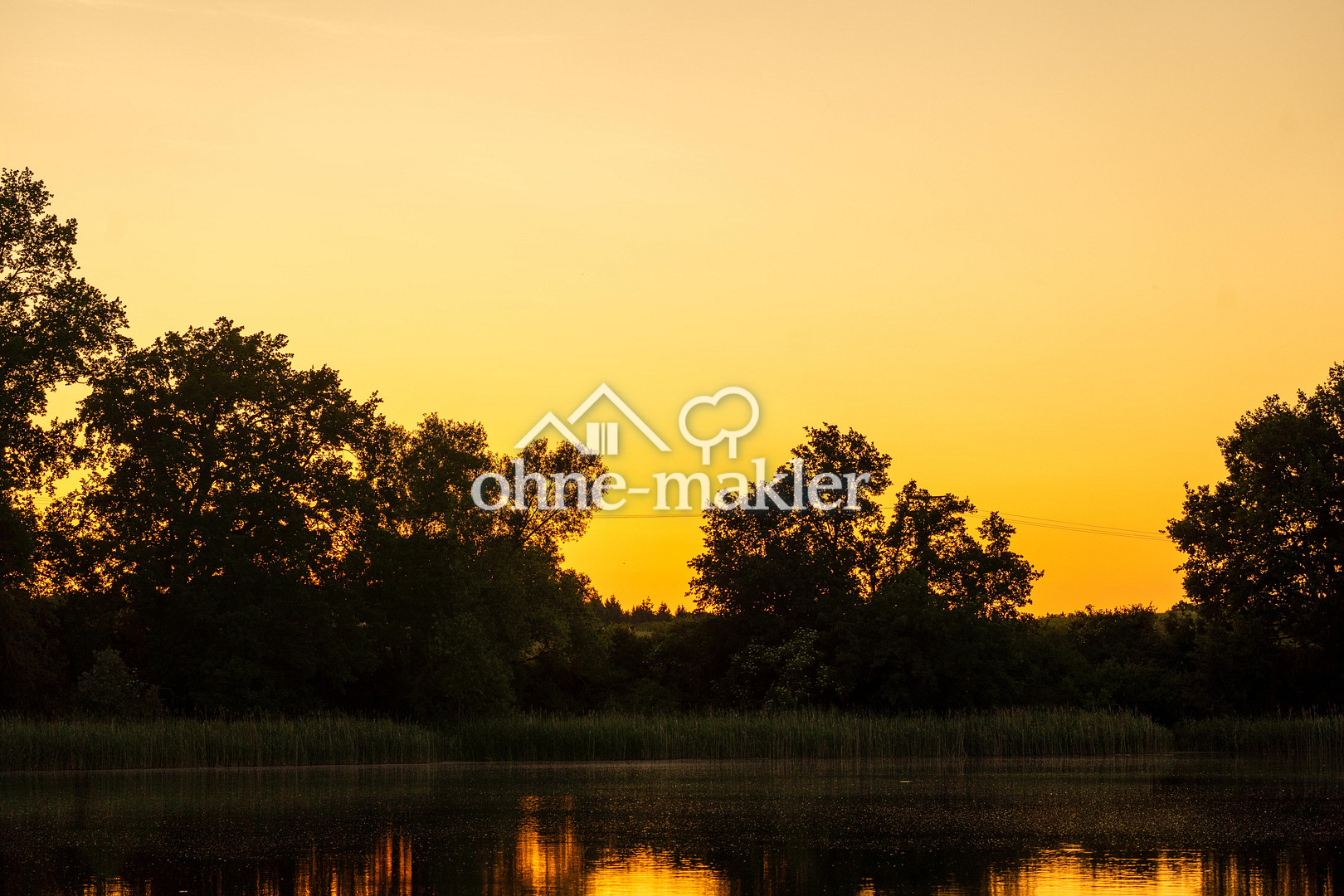 Bild 51