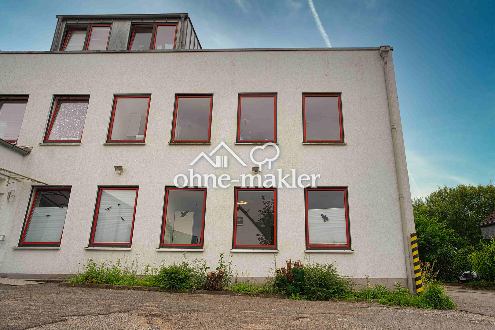 Bild 96