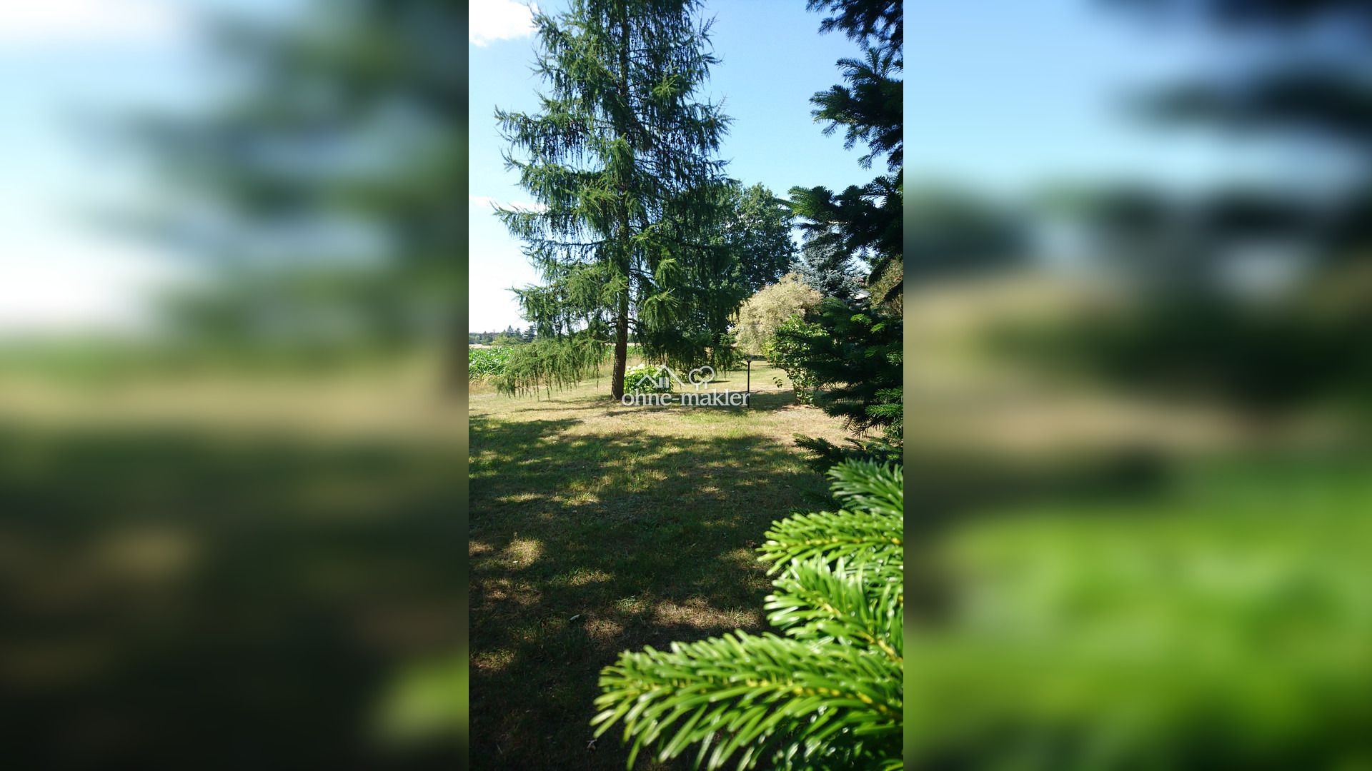 Bild 62