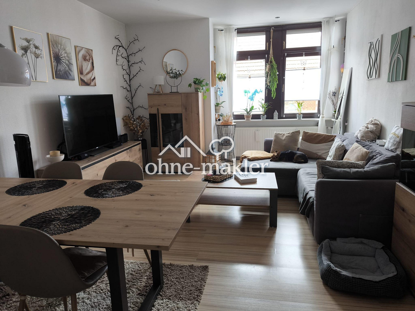 Bild 13
