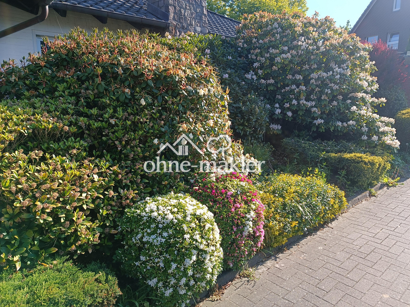 Bild 81