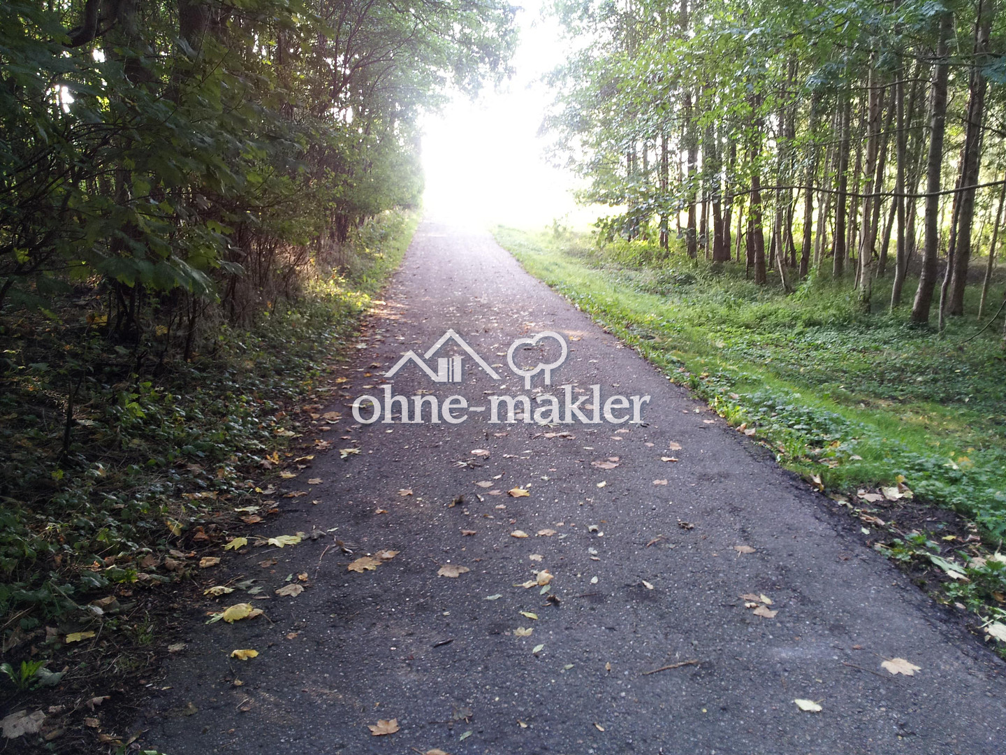Bild 99