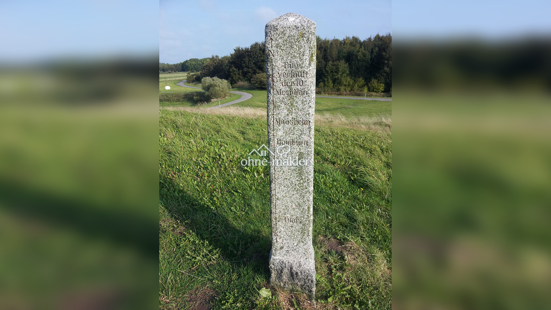 Bild 100