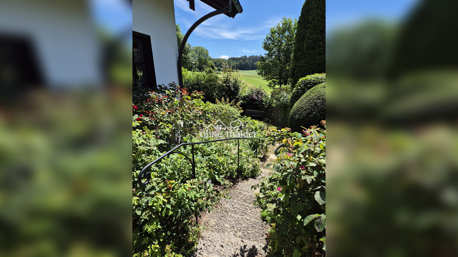 Bild 15