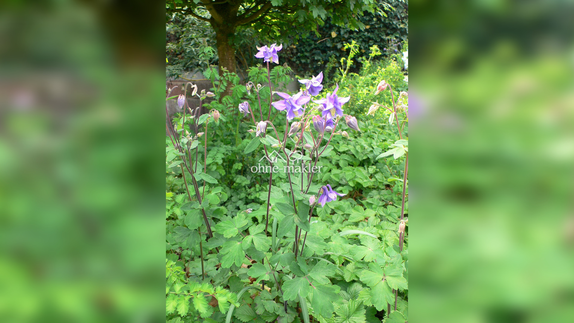 Bild 65