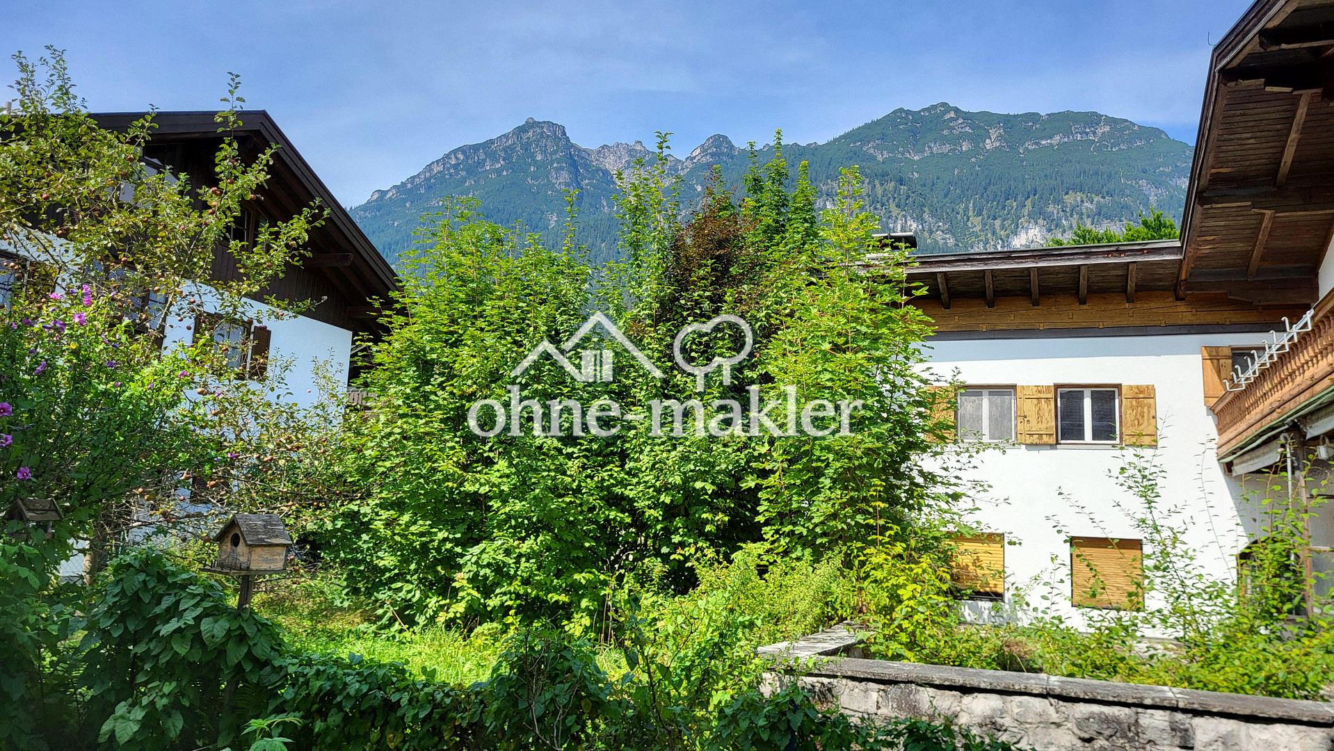 Bild 15