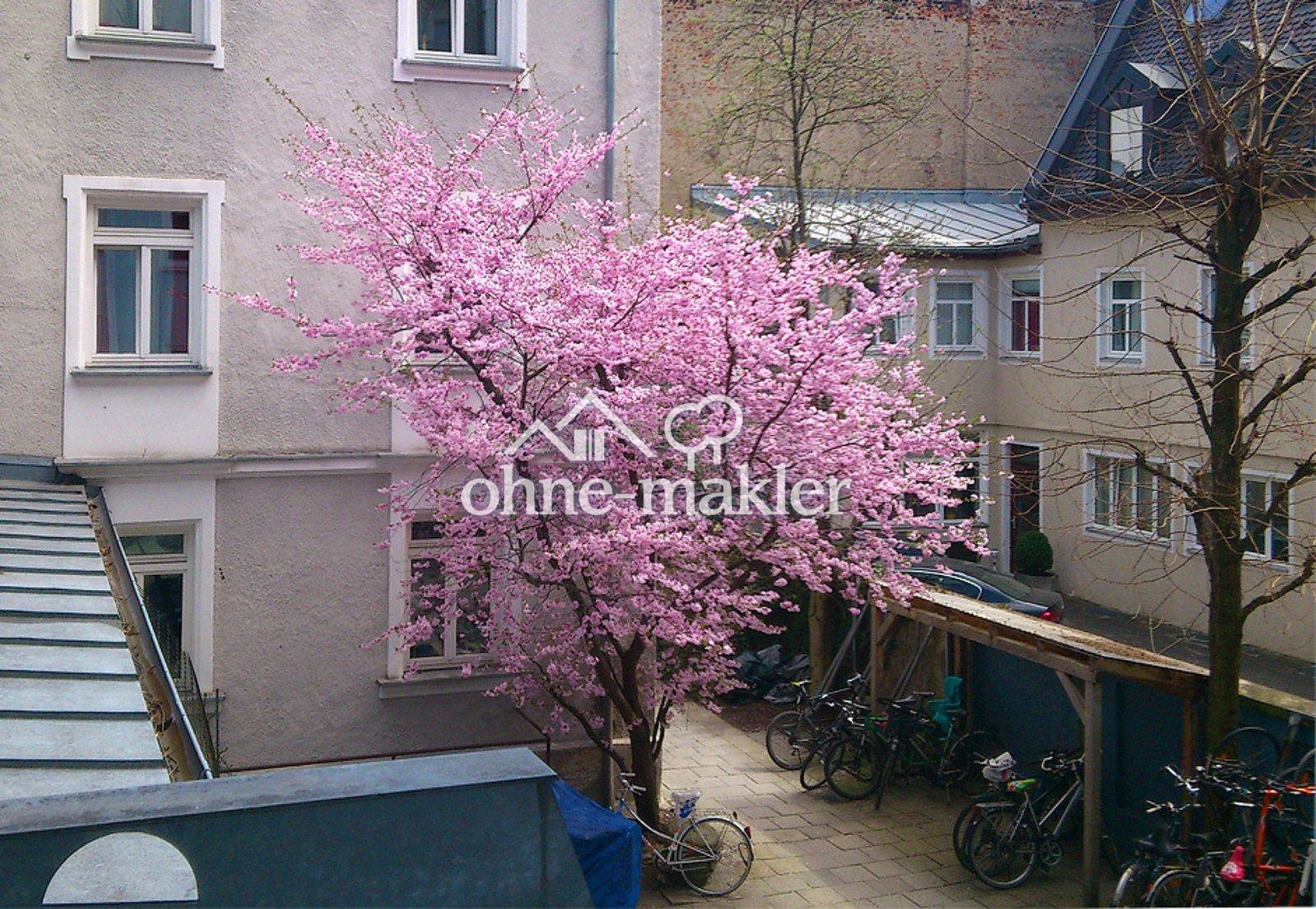 Bild 62