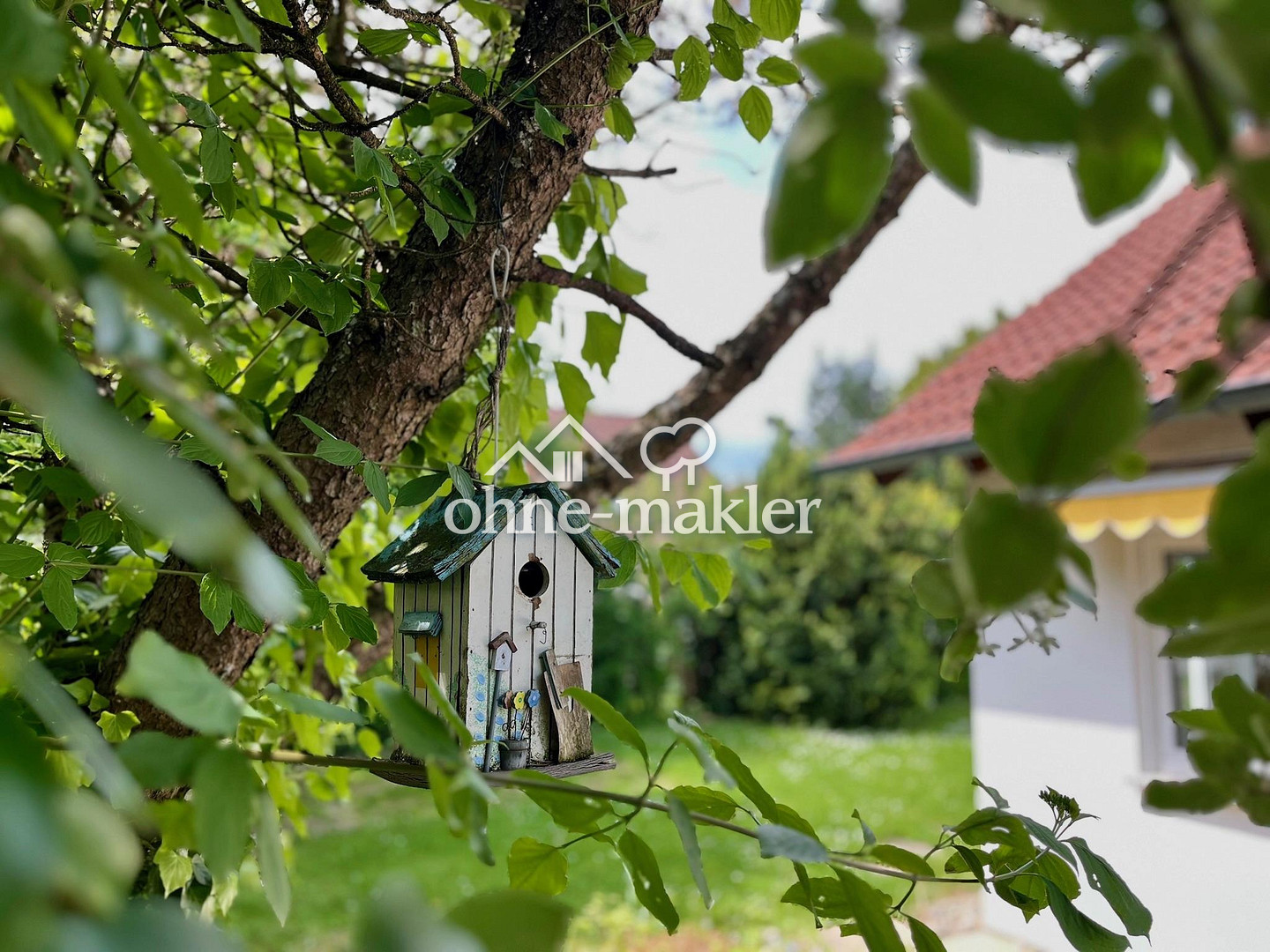 Bild 6