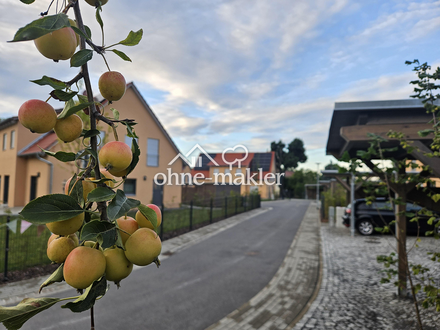 Bild 63
