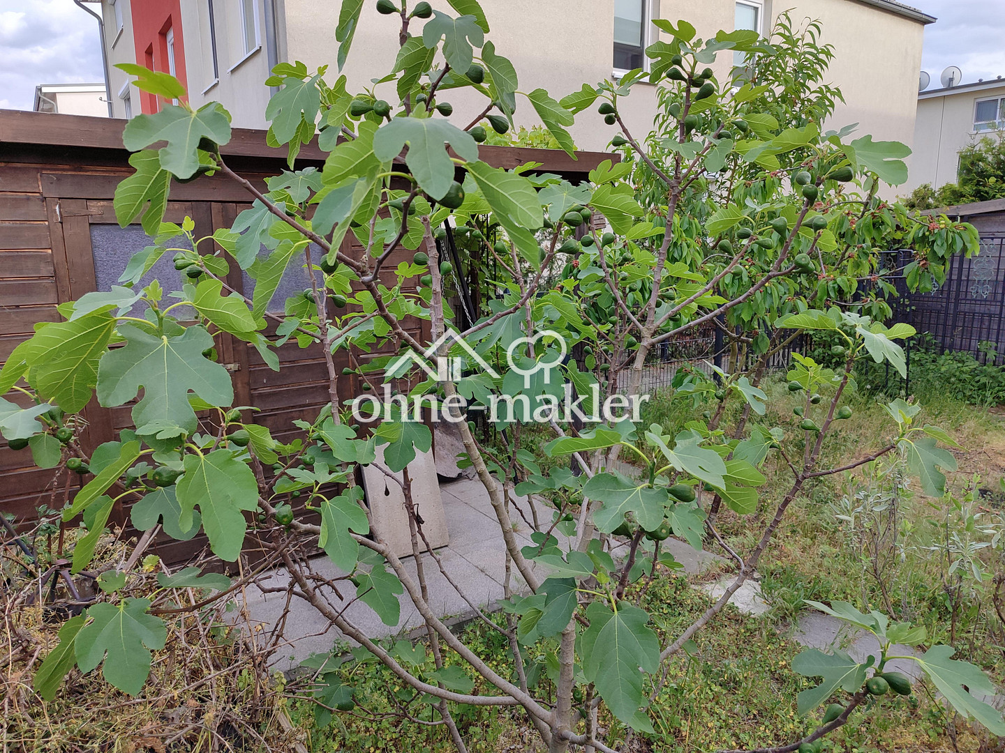 Bild 14