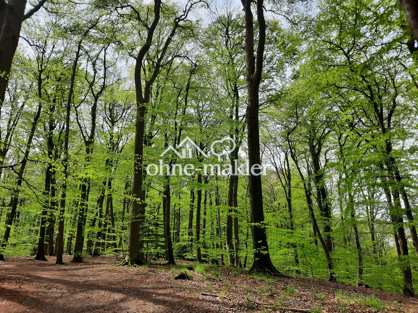 Bild 16