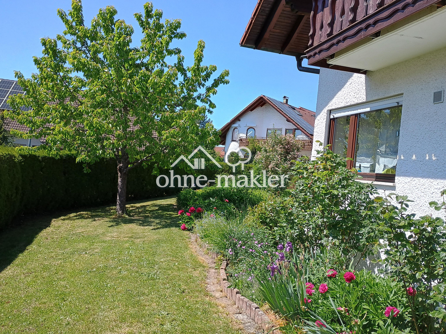 Bild 438