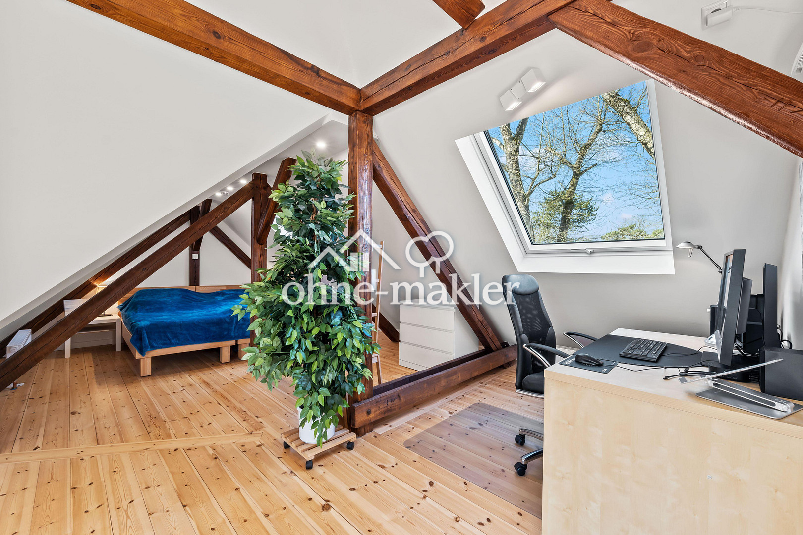 Bild 19
