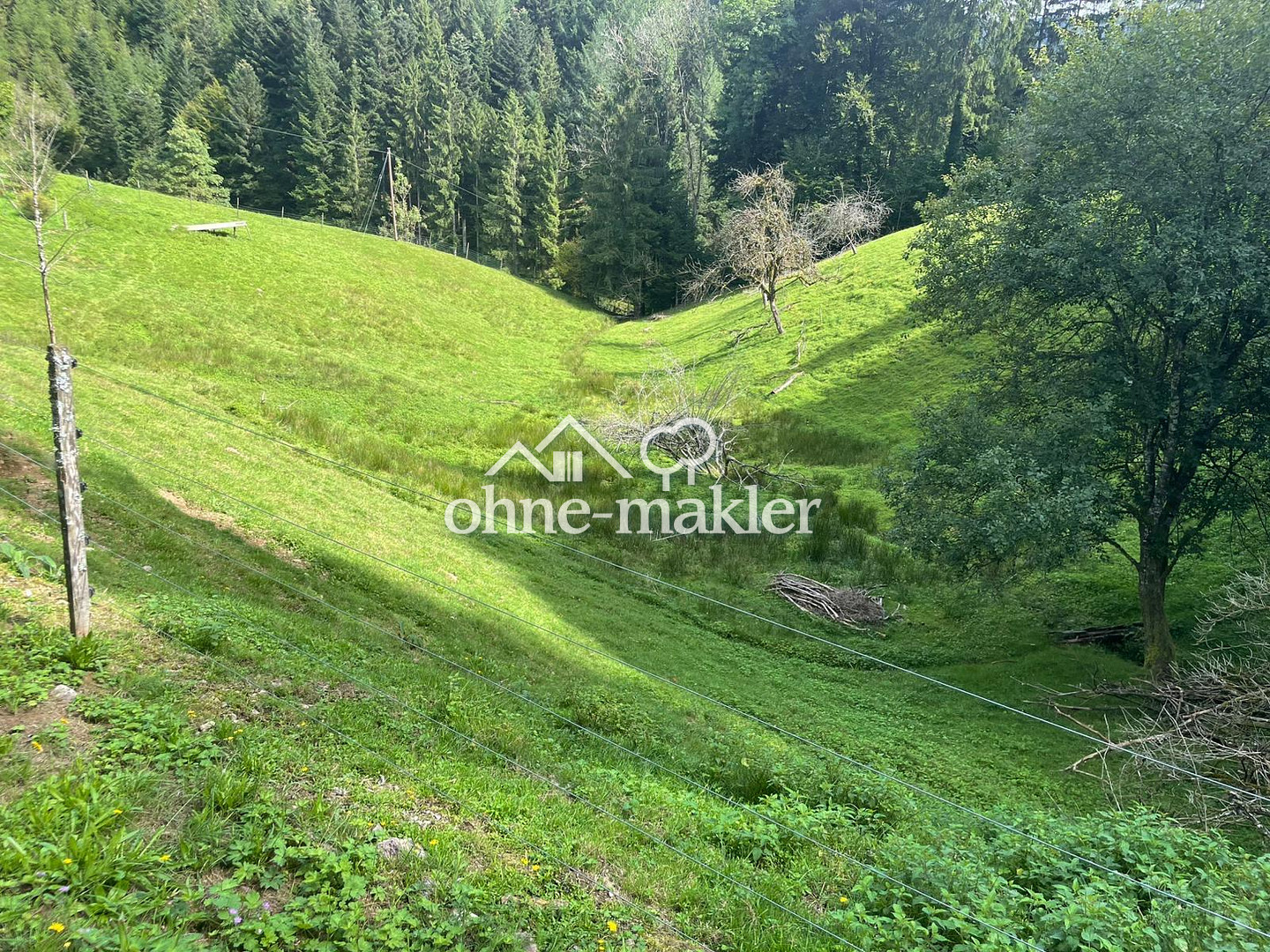 Bild 24