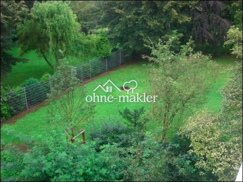 Bild 55