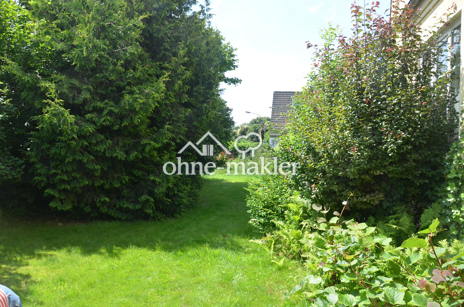 Bild 15
