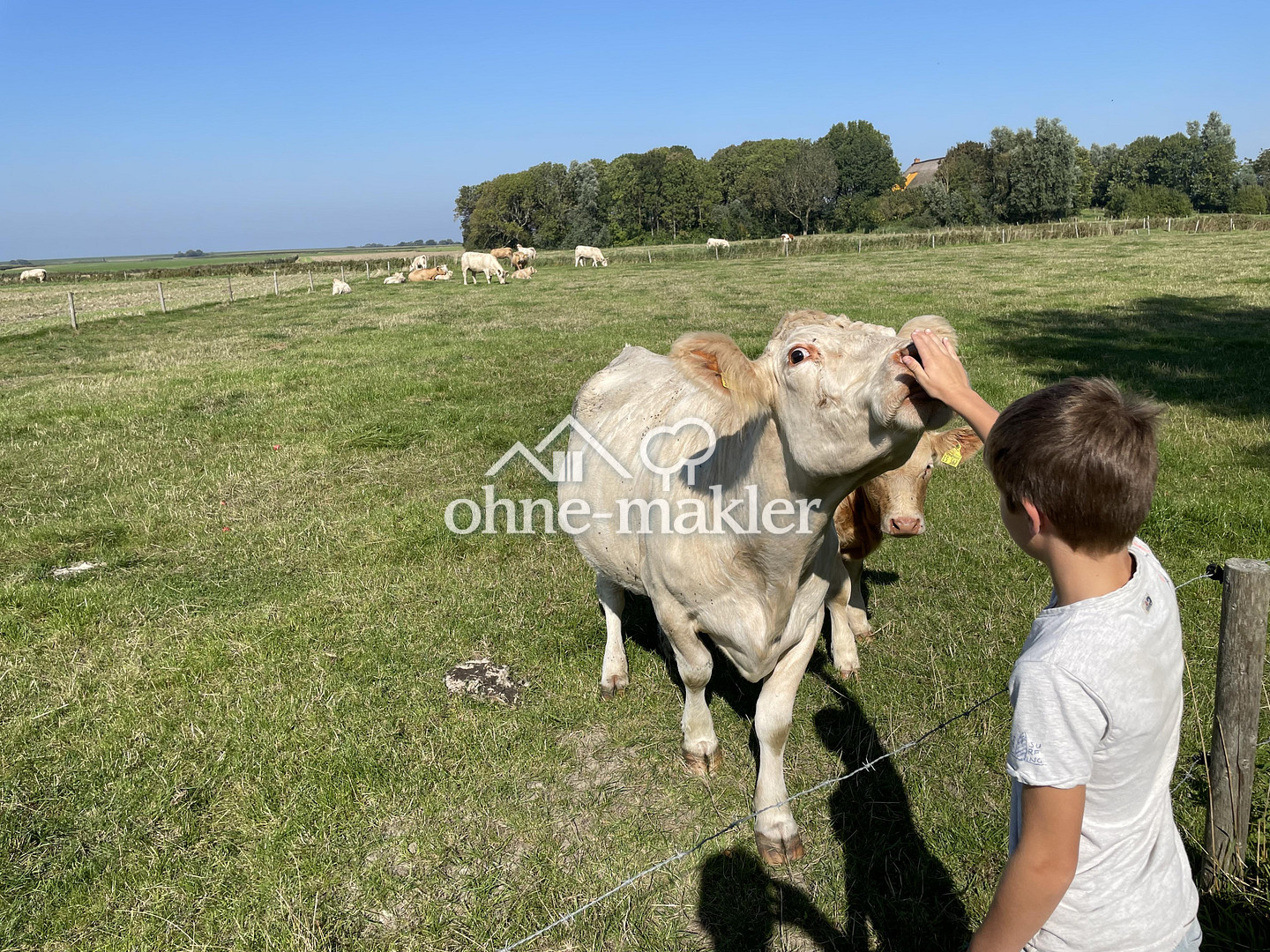 Bild 138