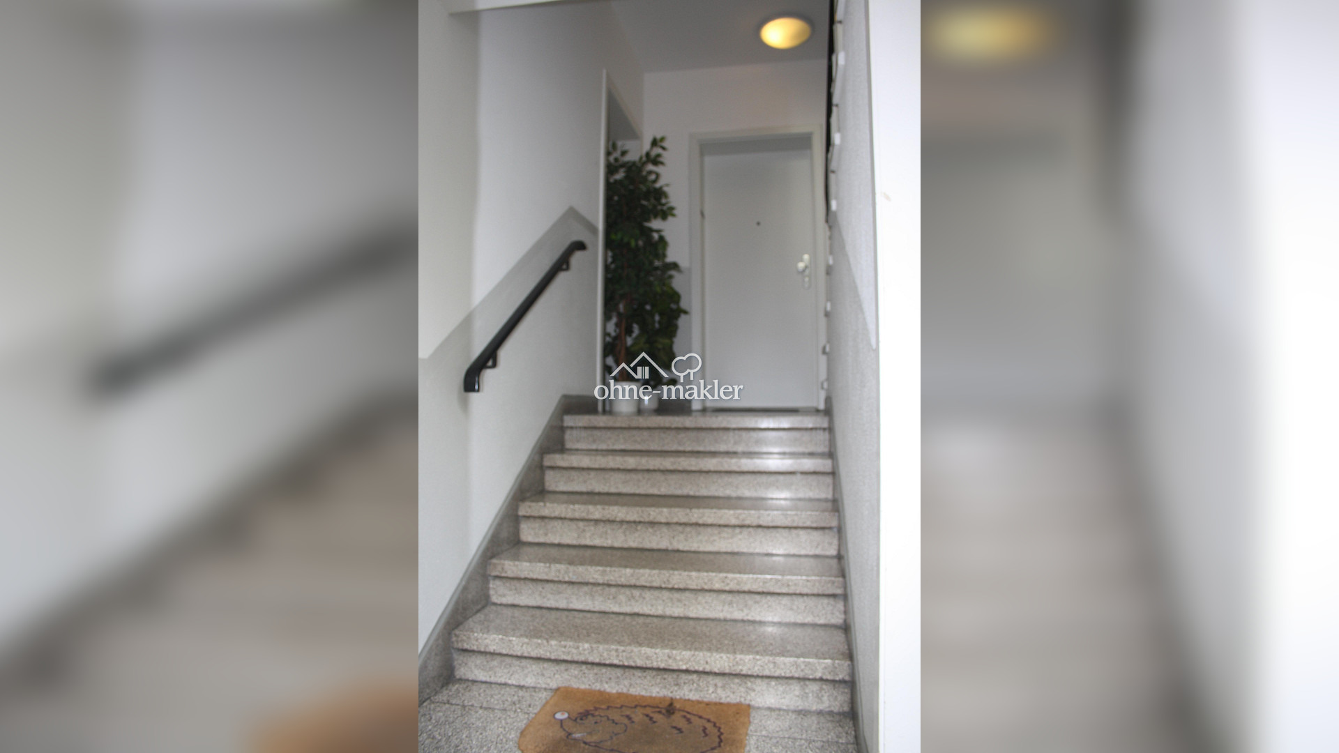 Bild 19