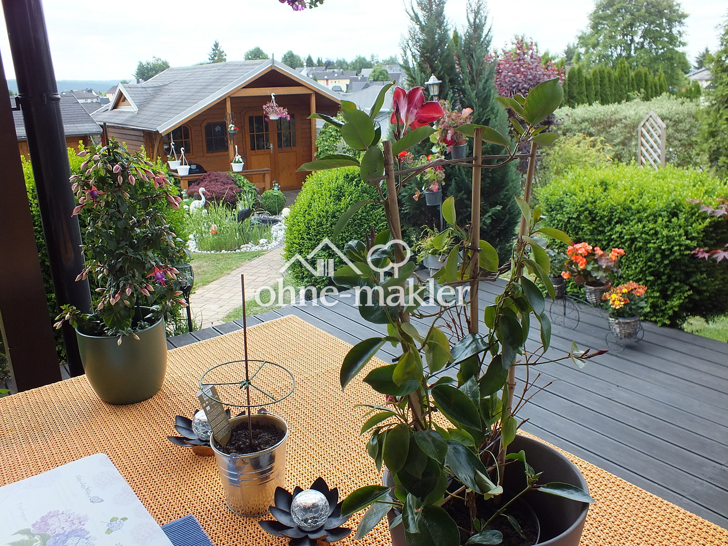 Bild 5
