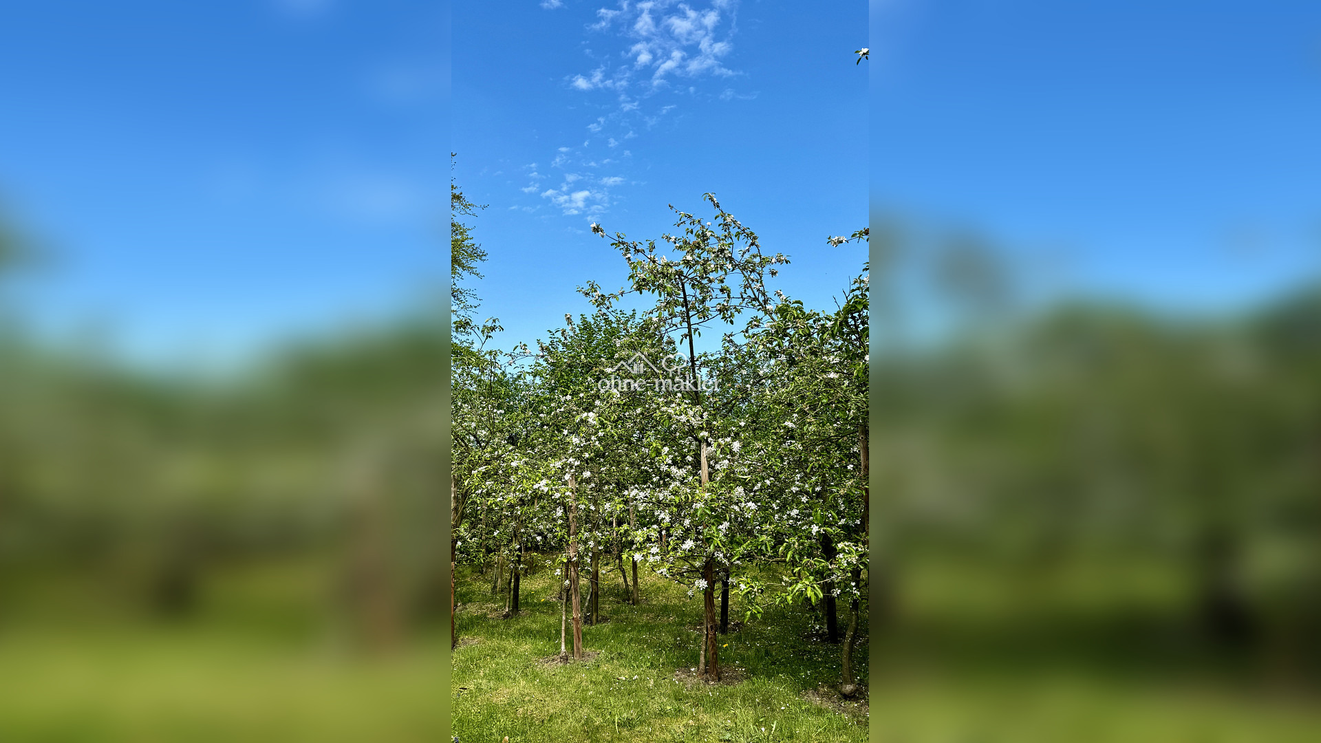 Bild 52