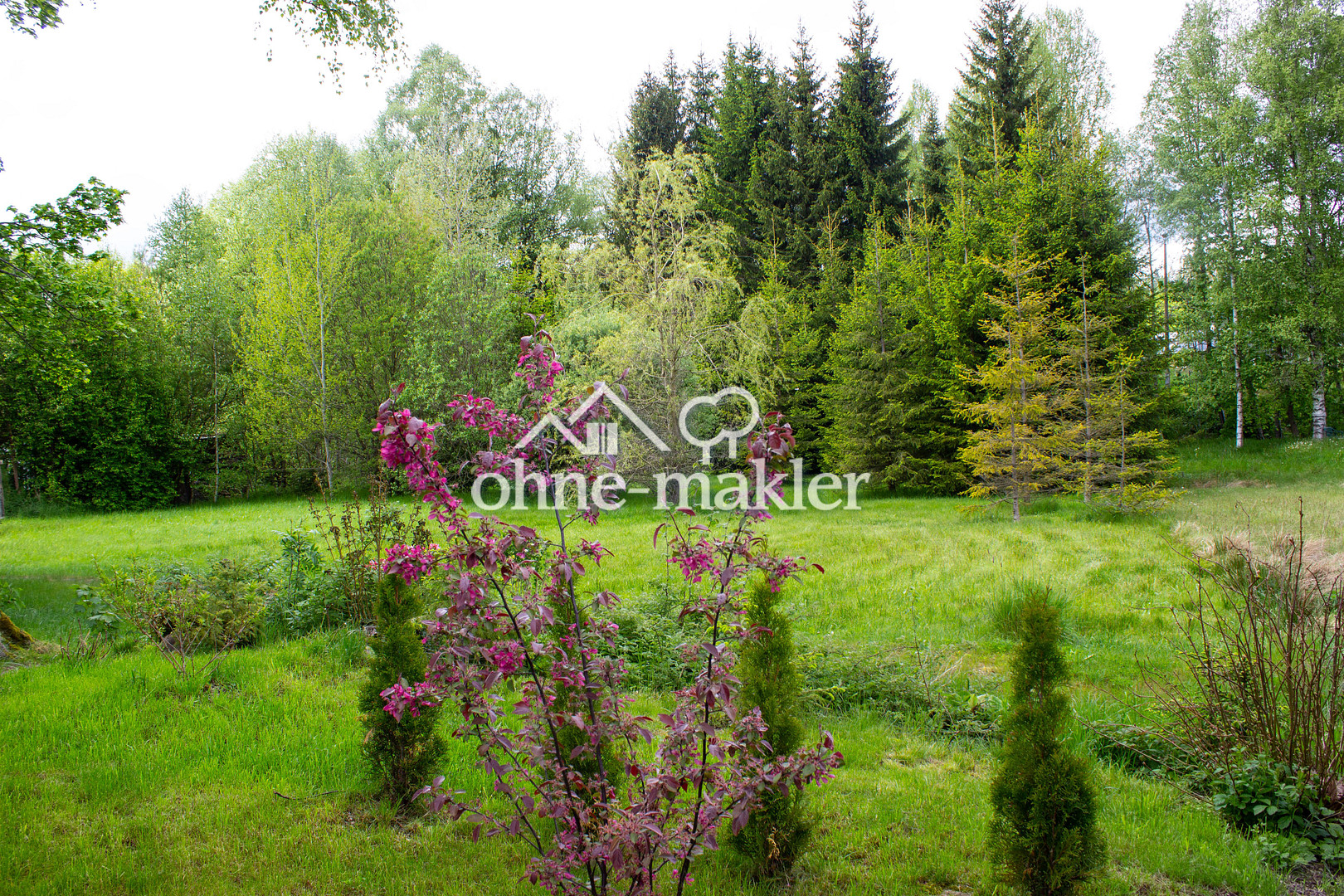 Bild 17