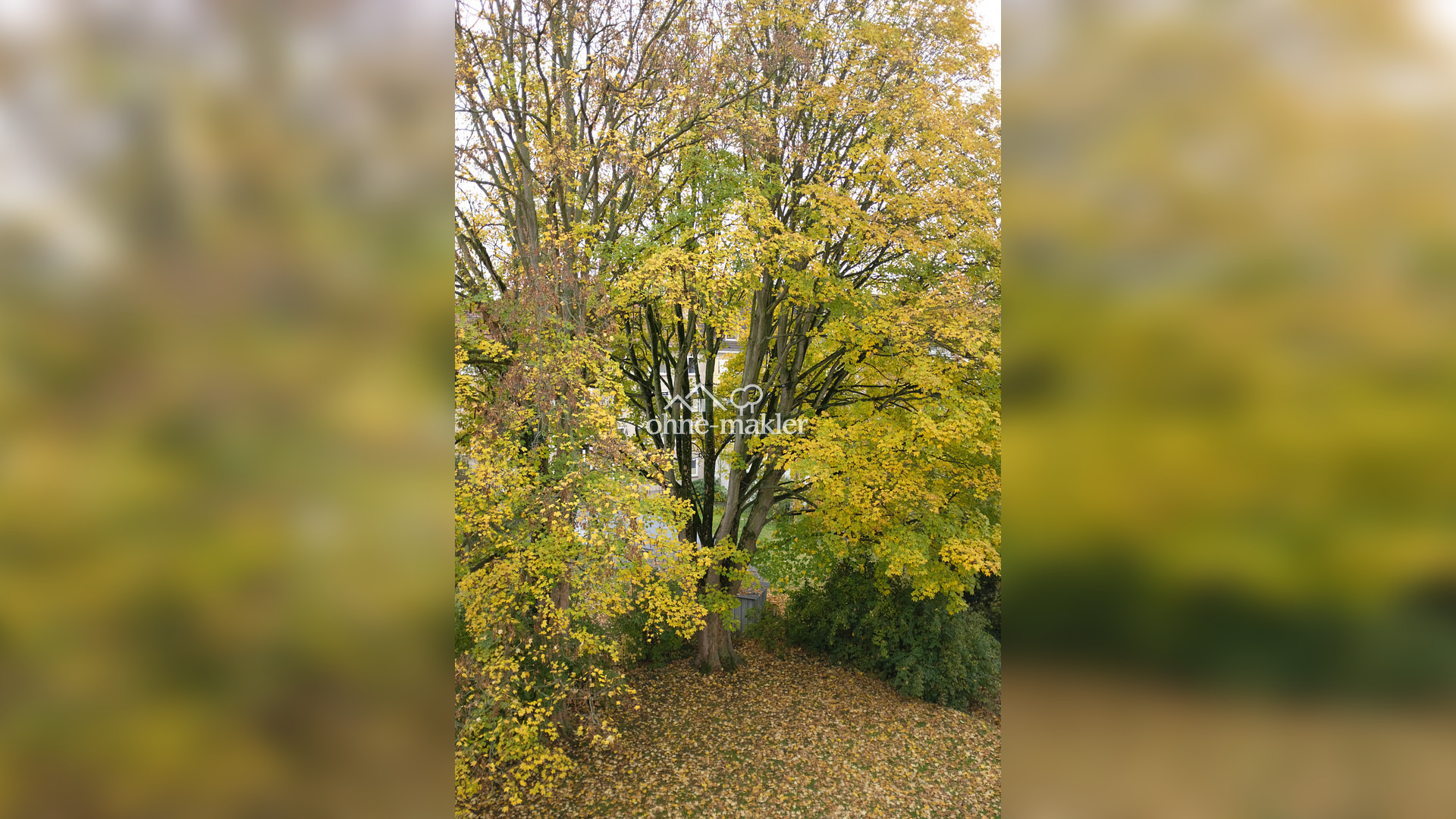 Bild 63