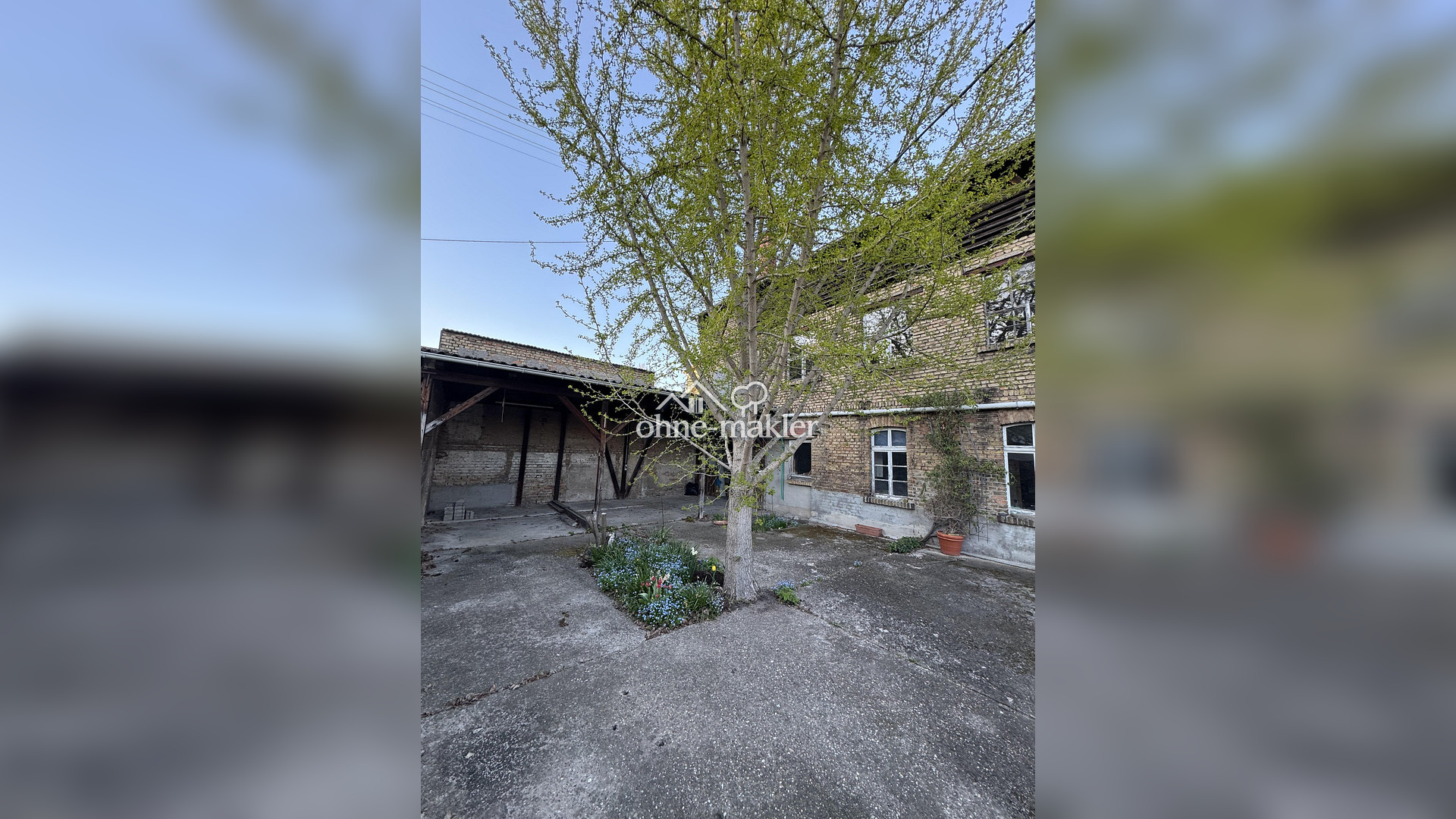 Bild 15