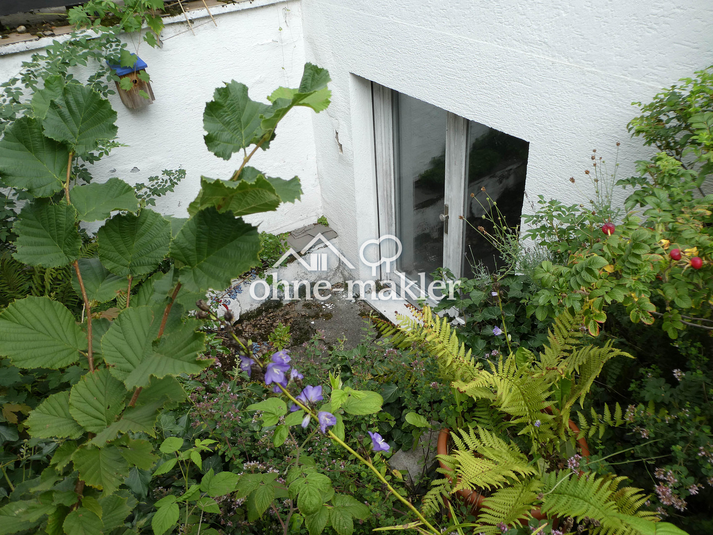 Bild 19