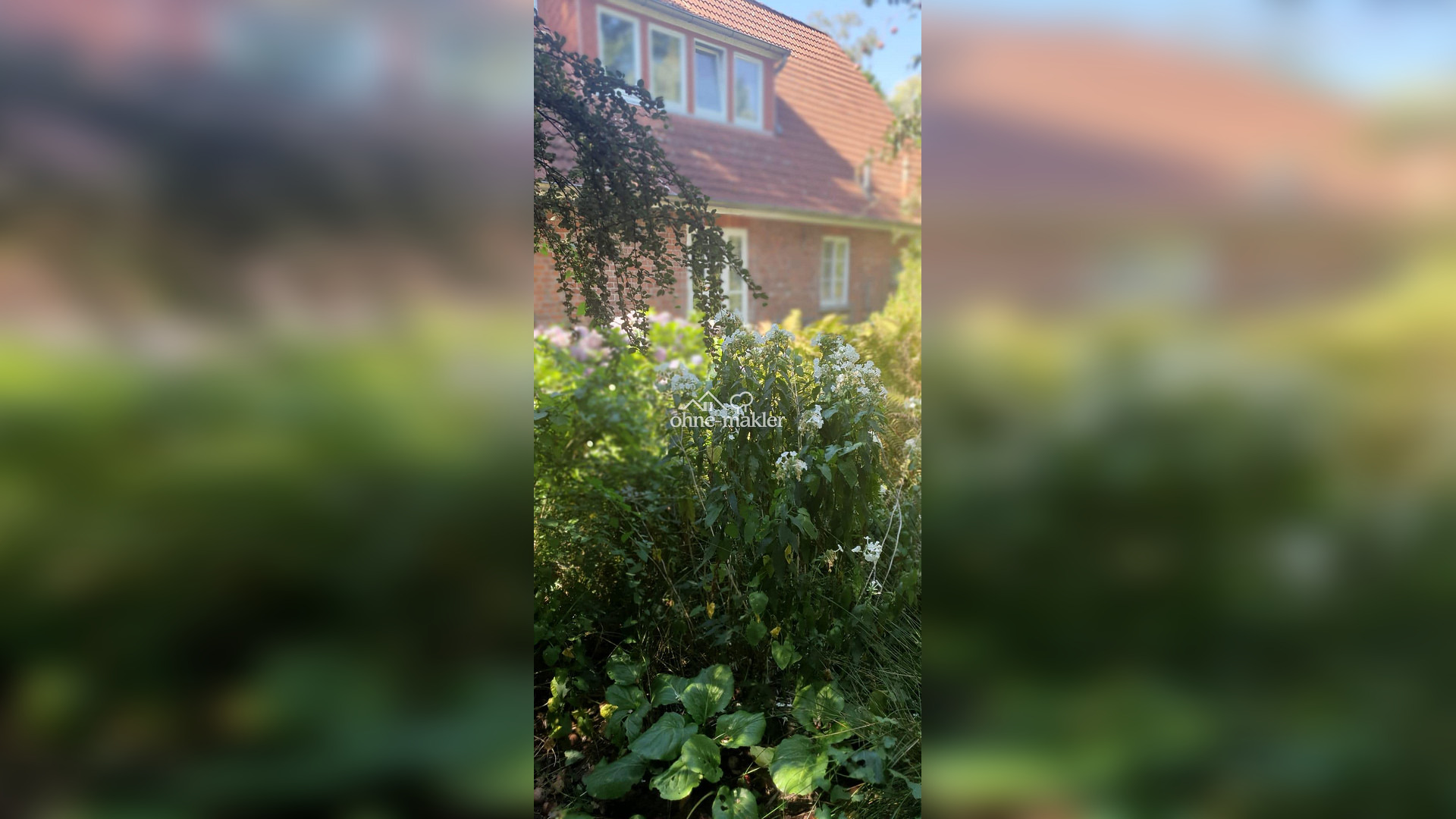 Bild 22
