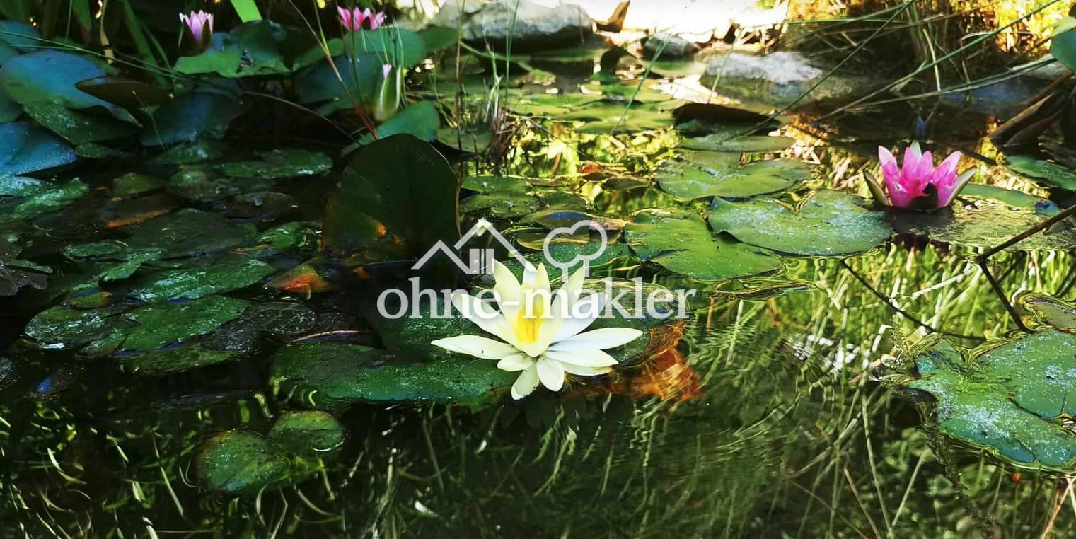 Bild 15