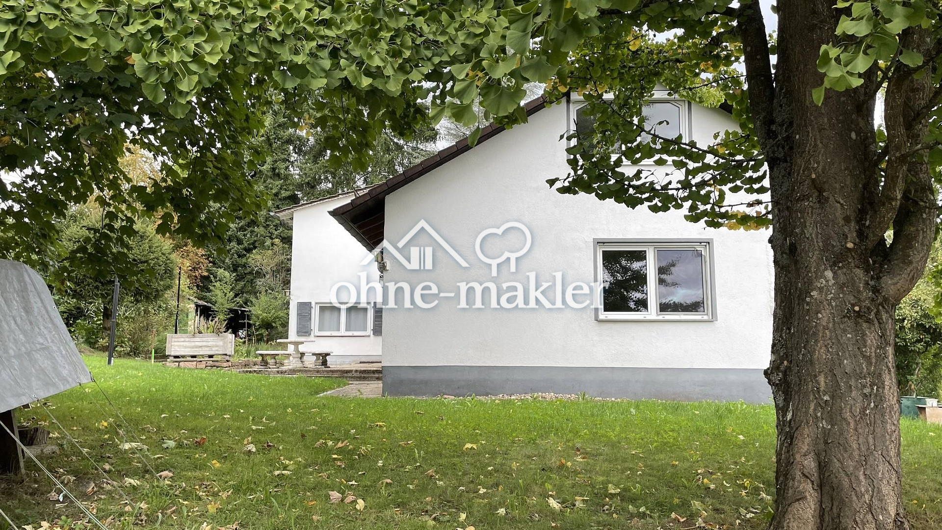 Bild 41
