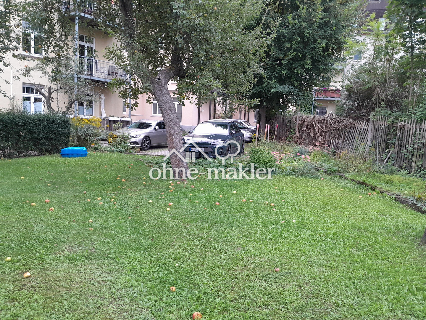 Bild 41