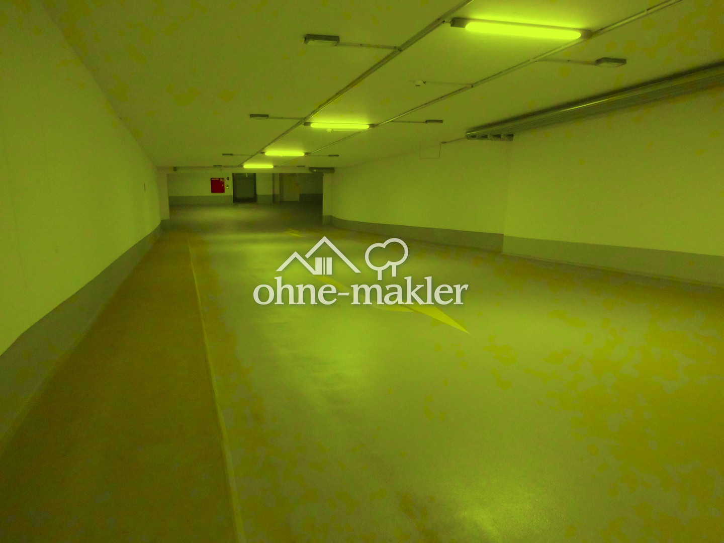 Bild 81