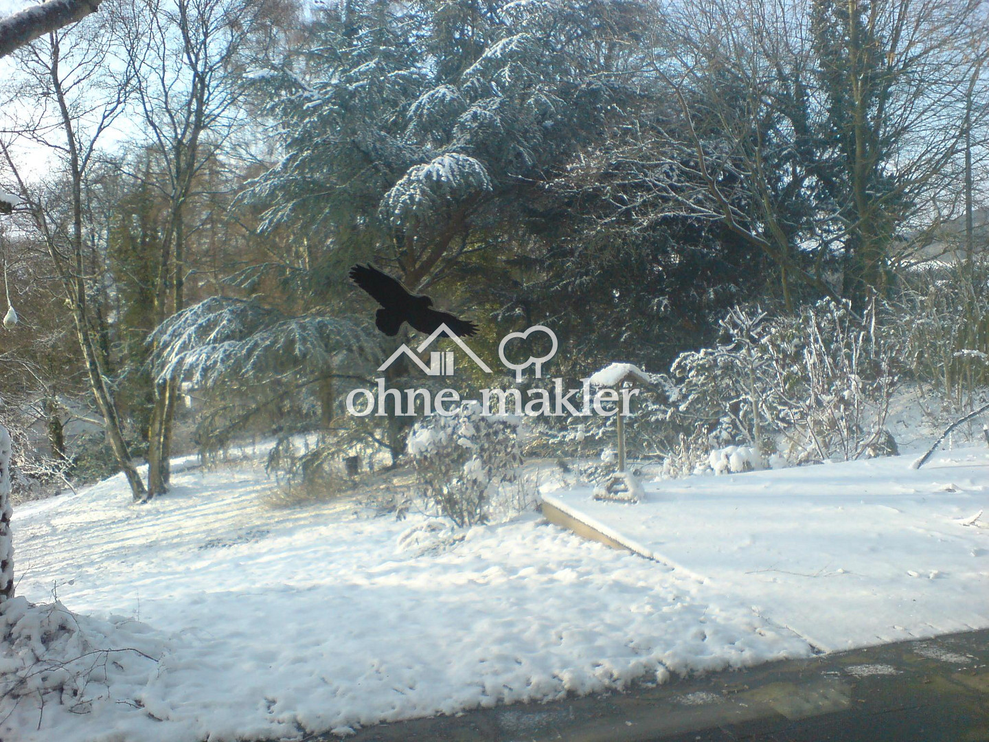 Bild 8