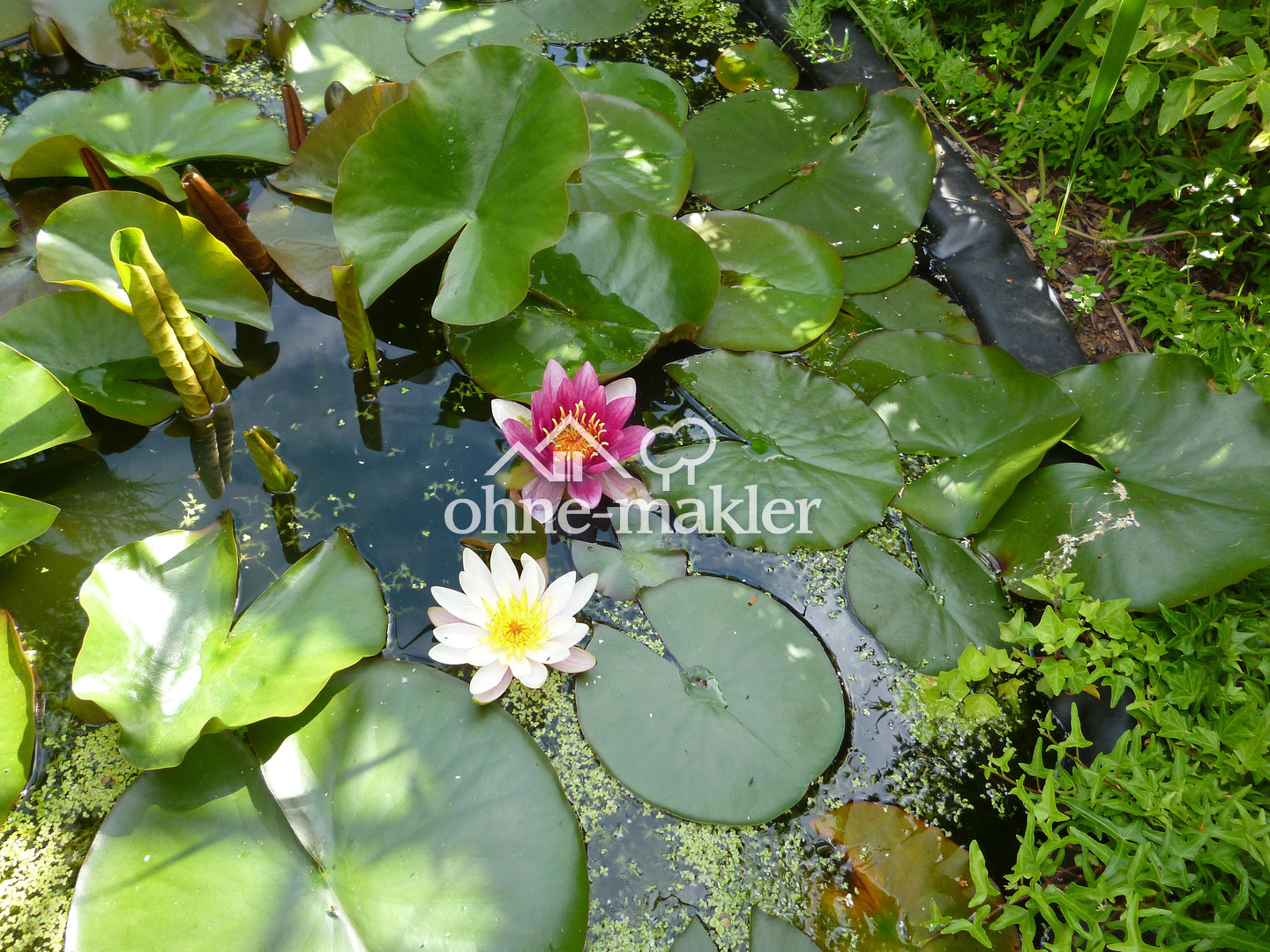 Bild 9