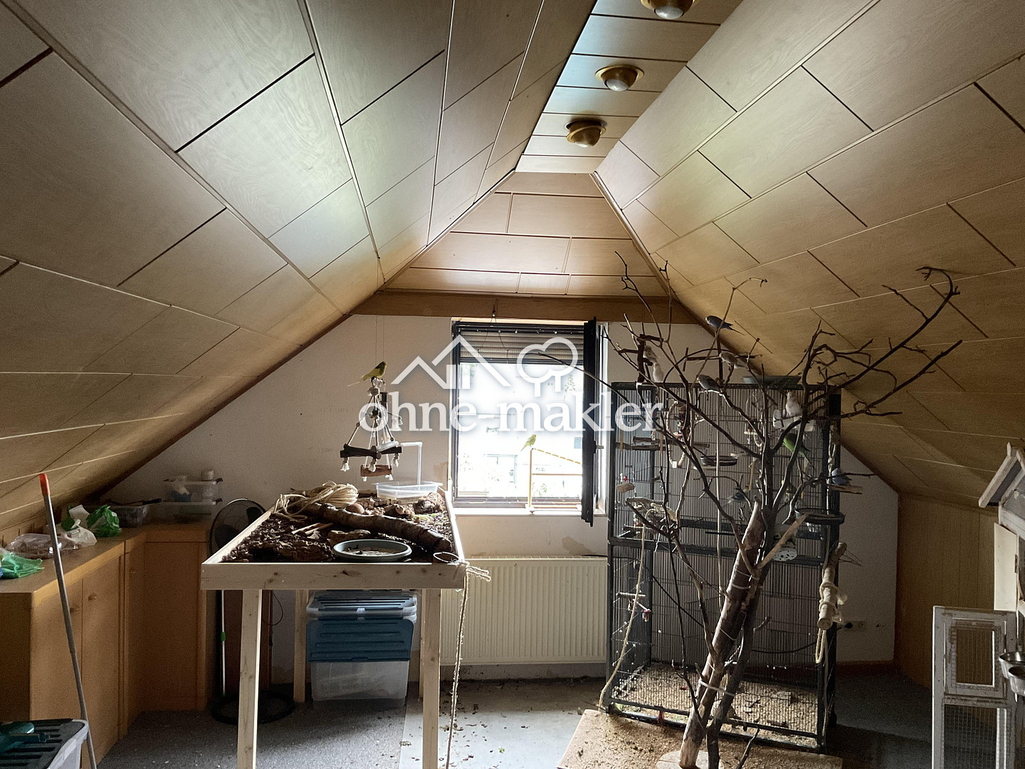 Bild 18